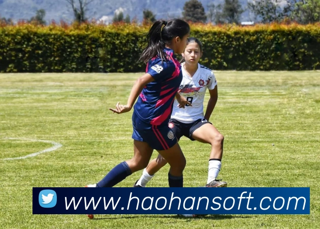 战术演练